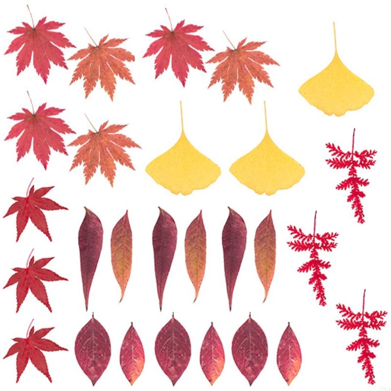 Flor prensada seca para moldes - Resin Craft Ideas avaliação e preço