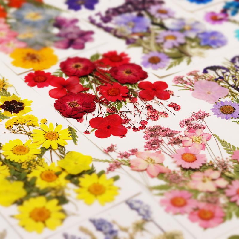 Flores Naturais Prensadas e Se - Resin Craft Ideas avaliação e preço